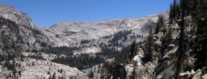 Sequoia NP