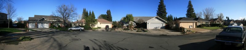 Lost in Suburbia