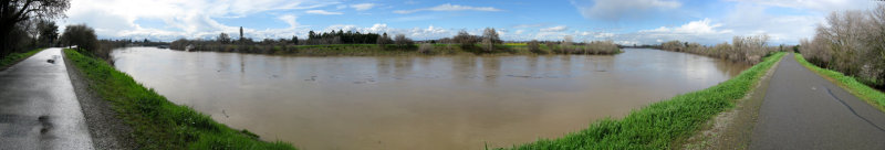 Sacramento River after Rain