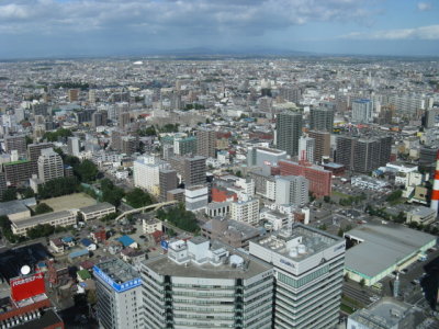 Sapporo from the top of JR Tower. Cost 700 yen.