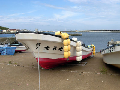 Ranches and Rice fields give way to fishing boat along the coast.