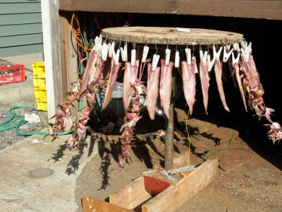 Interesting technique for drying fish. It spins.