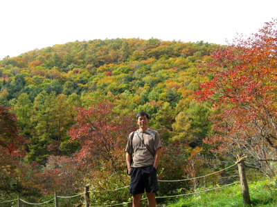 Hills above Kusatsu showing fall colors.