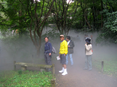 Sankeien Garden was built by Hara Sankei and opened in 1904.