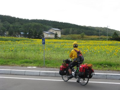 Pausing for sunflowers. Sunflowers have a special meaning for Geno.