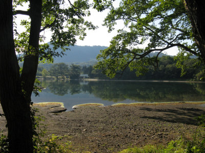 Day 26: Morning time on Lake Towadako.