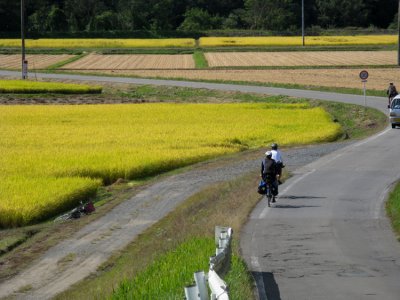 Riding through the fields.