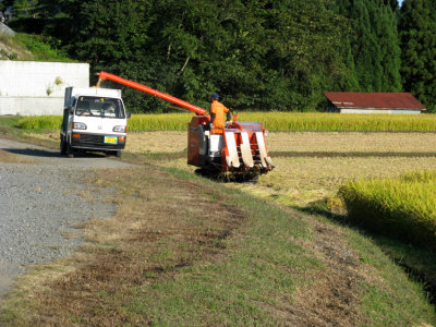 From the harvester to the truck.