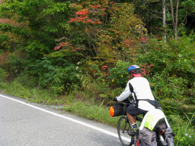 The mountains are starting to show some fall colors.