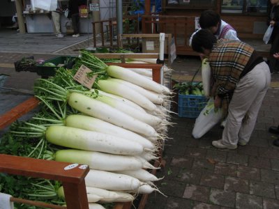 At the top of a long climb was a markeplace. Japanese daikon for sale.
