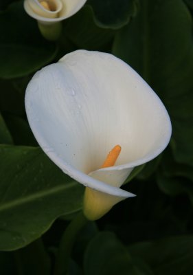 IMG_3256.jpg