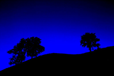 IMG_3278a.jpg