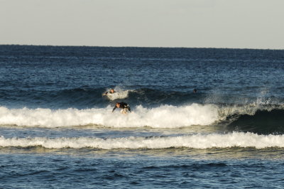 Delray Surf