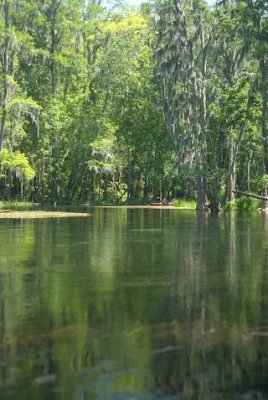 Ichetucknee River midway