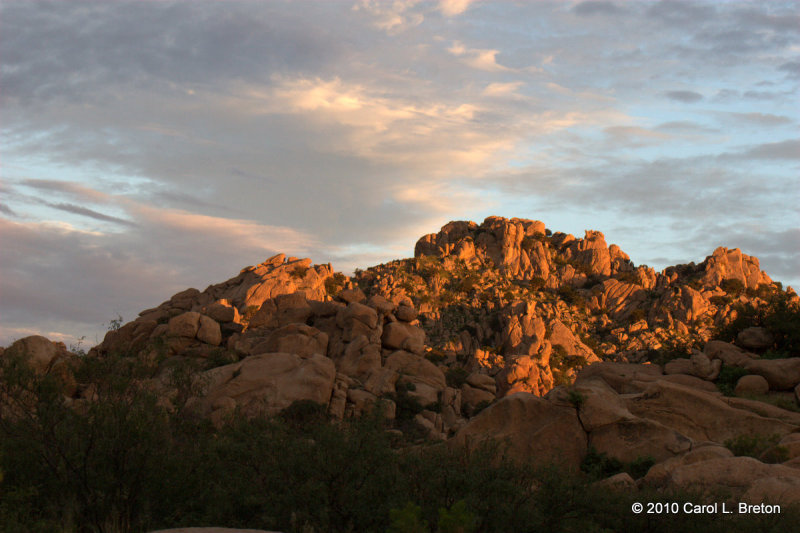 Early Morning Light