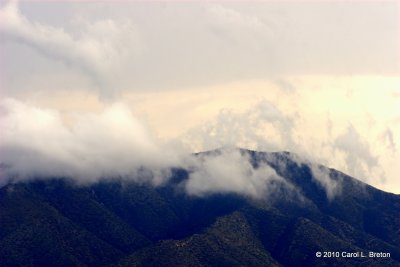 Morning, After The Rain