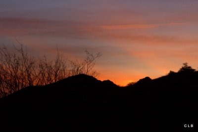 January 04 2011