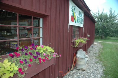 Middlebury 7-31-2008 26.jpg