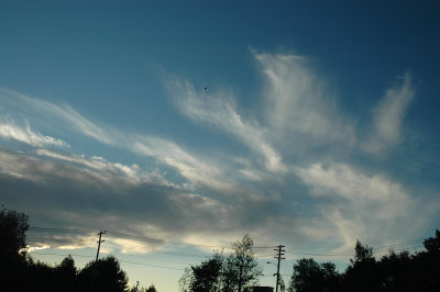 Turbo Aloft 10-12-08 0212.jpg