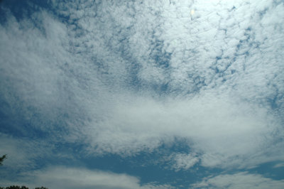 6-8-2008 0091.jpg