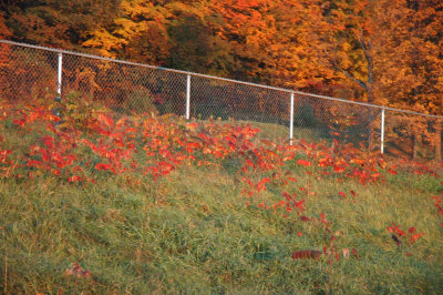 C Salisbury 10-18-08 0116.jpg