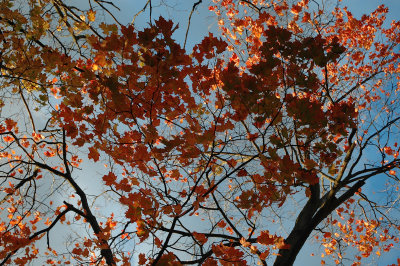 C Middlebury 10-29-07 0271.jpg