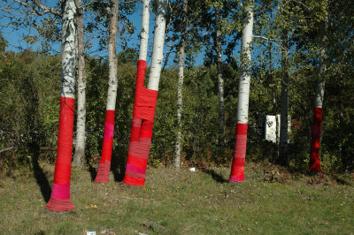 SculptFest 2007 0022.jpg
