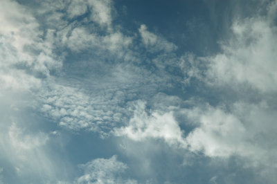 Sept 29 2008 0100.jpg
