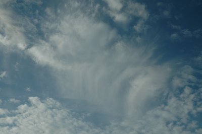 Sept 29 2008 0105.jpg