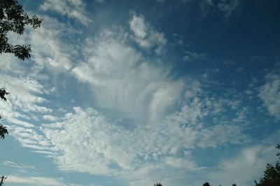 Sept 29 2008 0106.jpg