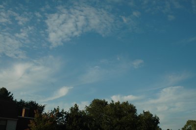 Sept 29 2008 0108.jpg
