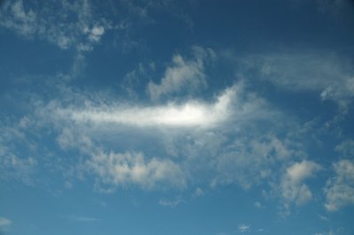 Sept 29 2008 0110.jpg