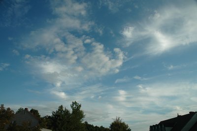 Sept 29 2008 0111.jpg