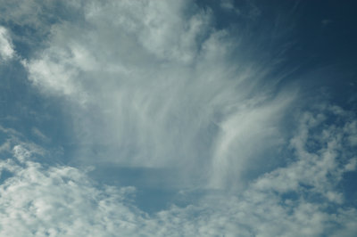 Sept 29 2008 0116.jpg