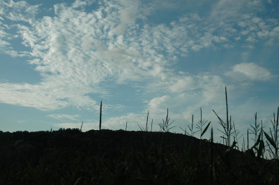 Sept 29 2008 0125.jpg