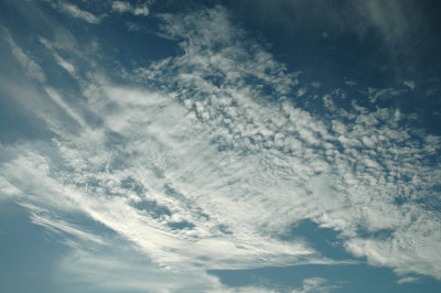 Sept 29 2008 0130.jpg