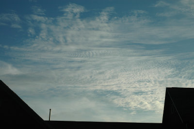 Sept 29 2008 0131.jpg