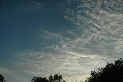 Sept 29 2008 0141.jpg