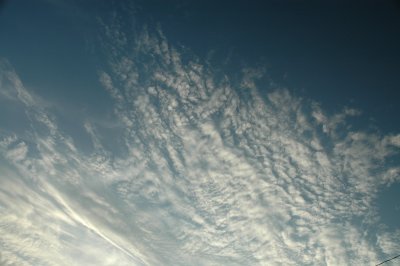 Sept 29 2008 0142.jpg