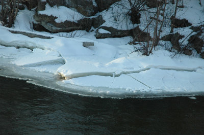 crackedbank1-29-09 09.jpg