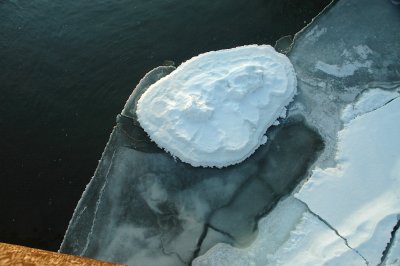 streamsintheisland1-29-09 20.jpg