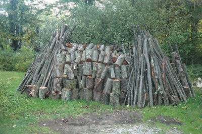 Art of the Woodpile