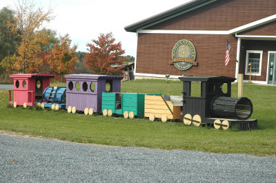 Maple Landmark wooden toys 10-10.jpg