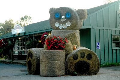 Grin  Bear ItFerrisburgh.jpg