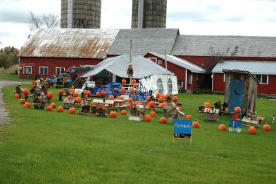pumpkinslaststand Addison 10-14-10 121.jpg