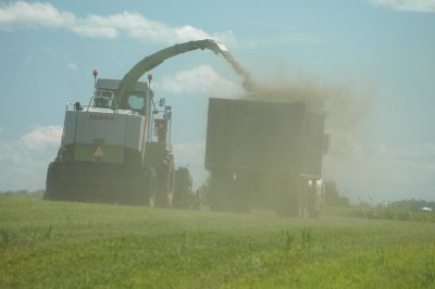 overflowcrop Addison 7-15-09 102.jpg