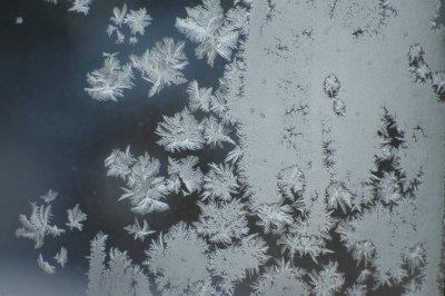 frost 1-25-08 13.jpg