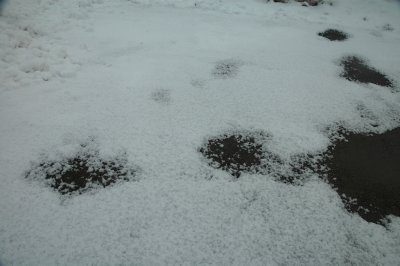 granular 3-2-08 119.jpg