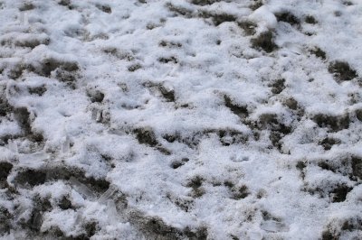 ice on snow 3-10-08 84.jpg