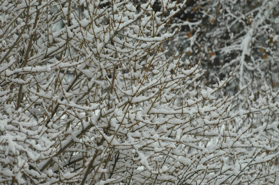 bearing 12-20-07 15.jpg